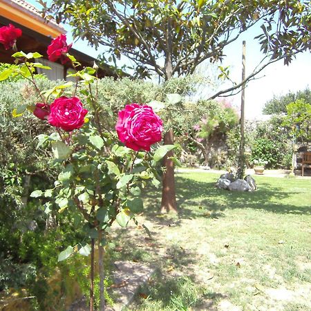 Hosteria Las Fuentes Rubayo ภายนอก รูปภาพ