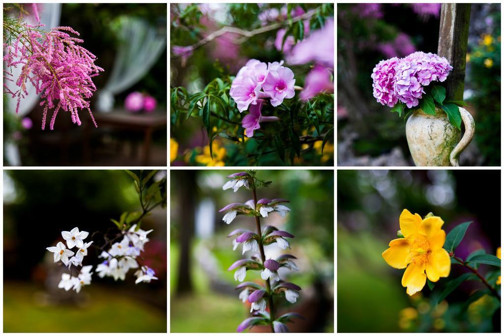 Hosteria Las Fuentes Rubayo ภายนอก รูปภาพ